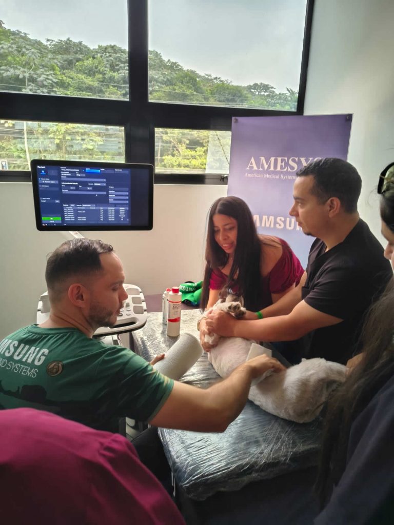 Amesys S.A. de C.V. Mascotas Saludables 2.0: Tecnología y formación en ultrasonografía veterinaria