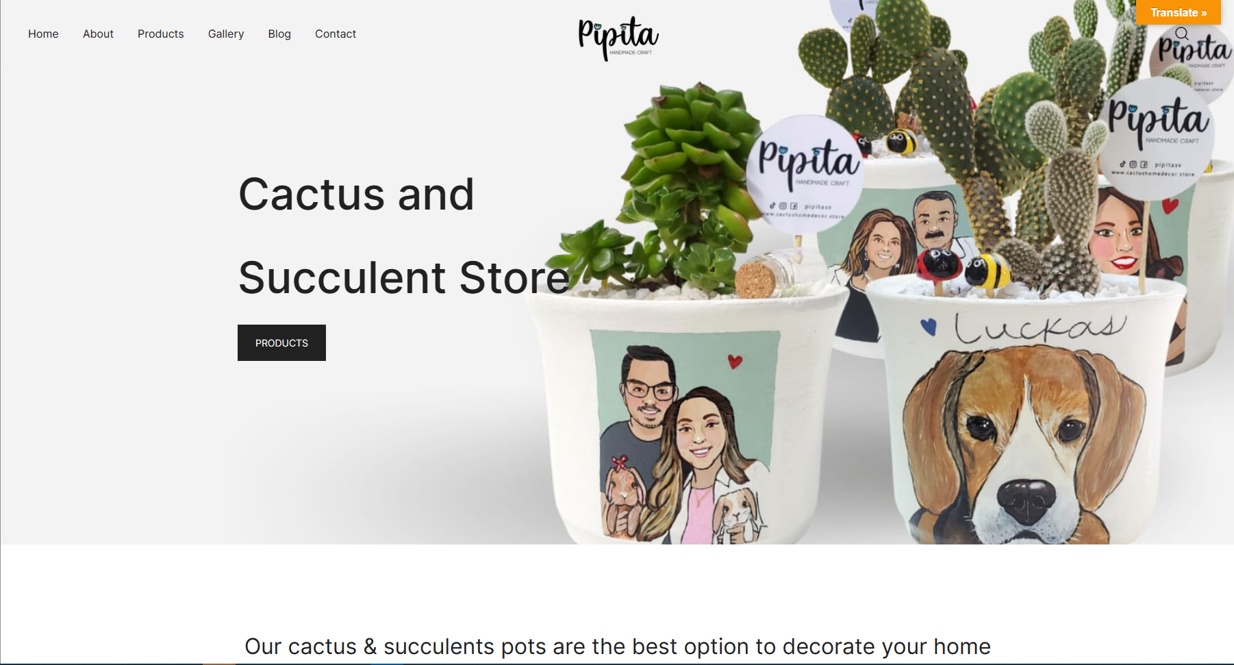 Pipita - Cactus Home Decor